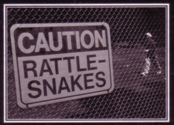 A photo of a first tee sign warning of rattle snakes.