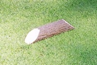 Fake tree branch as tee marker.